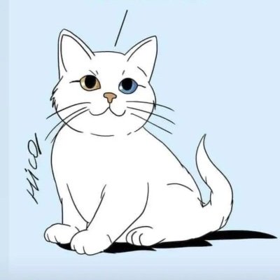 sekranturab's profile picture. bende kül bende kanat bırakmadılar..