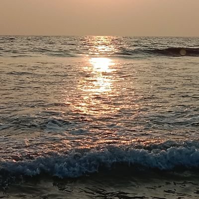 wt2024c's profile picture. 