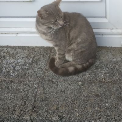 Billeady's profile picture. 