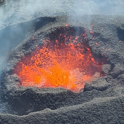 Pauleyeball55's profile picture. 