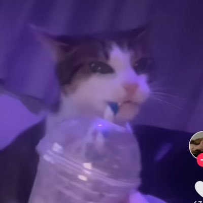 citizen_kale's profile picture. 