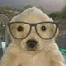 Richy (@richy20241702) Twitter profile photo Richy (@richy20241702) Twitter profile photo