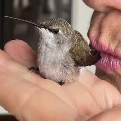 DJCinTX's profile picture. Loved Austin, left Austin. Years in the radio and voiceover world of weirdos. Married mother of one Austinite. Military Brat and proud American.