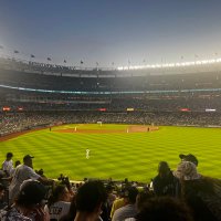 Andrew Hammer (@andrew_hammer8) 's Twitter Profile