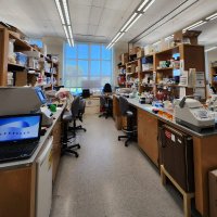 Menon Lab (@menonlab) 's Twitter Profile Photo Menon Lab (@menonlab) 's Twitter Profile Photo