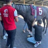 Mehmet Arslan Arslan (@mehmetarslanar3) 's Twitter Profile