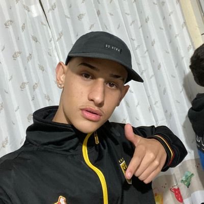 malandro é o gato, que da valor na sua gata e foge das cachorra.