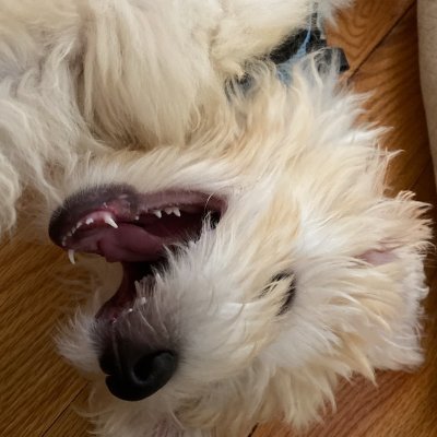 Carcraftz's profile picture. hey