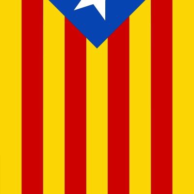 Lluis Molins Profile