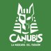 Canubis 𓃢 (@canubisoficial) Twitter profile photo Canubis 𓃢 (@canubisoficial) Twitter profile photo