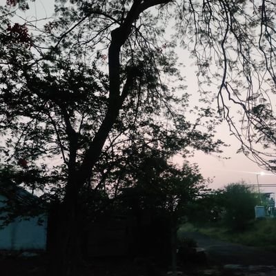 Abhi9gangsta's profile picture. Vibe Coder.