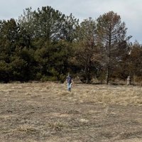 Gage Larned (@glarned_22) 's Twitter Profile