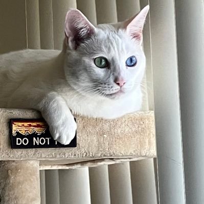 Heidi8361149582's profile picture. 