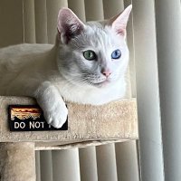Heidi (@heidi8361149582) 's Twitter Profile Photo Heidi (@heidi8361149582) 's Twitter Profile Photo