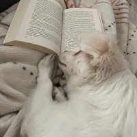 İzmir Teknik (@izmirteknik35) Twitter profile photo