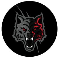 RankBeast®️ Gaming Booster (@_rankbeast_) 's Twitter Profile