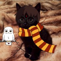 okay_stanley (@stanley_gang_) 's Twitter Profile