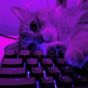 ForrestGumpUSA's profile picture. SP&BI GhostyX | Web3 & NFT Strategist | Family man❤️
Long Beach Oilmen's Club 🛢️

Building a safer digital future 🌐