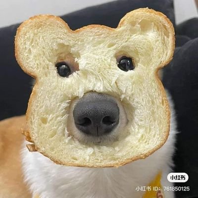 VenusGamer8's profile picture. 