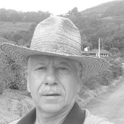 A meta da discussão não deveria ser a vitória, mas o progresso!