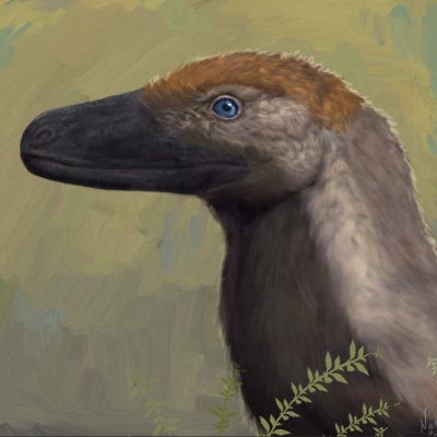 Nah🦖COMMS OPENさんのプロフィール画像