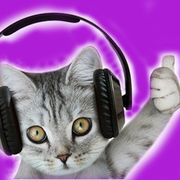 Alex16850293's profile picture. De wereld / mens is ziek. Ongezond is het nieuwe gezond. Leugens zijn de nieuwe waarheid. Nep is het nieuwe echt. Achter de schermen muziek producent.