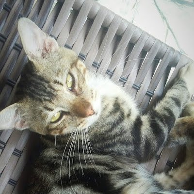 Leonard45546034's profile picture.