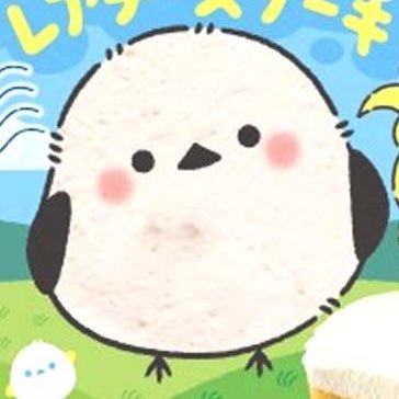 roshuski's profile picture. いしかわ 変態な事はだいたい好き。お酒飲むのとホテル泊まるの好き。酒飲みながら猥談したい。