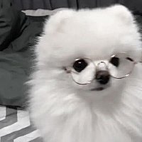 ✮⋆˙ (@p_k_j_h_n) 's Twitter Profile