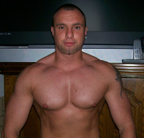 nicovanderhaege's profile picture. 