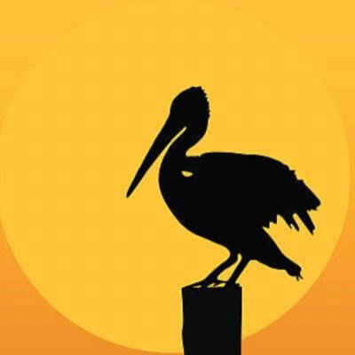 cryptoslim00's profile picture. Master Class Student CTKS Rule#395 “Collect Probabilities”- Ken Standfield  PFCMS Profiting Student CTKS Exercising 2% muscle 💪