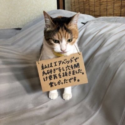 li8_xg's profile picture. 子供が外で遊べなくなる日本になりませんように