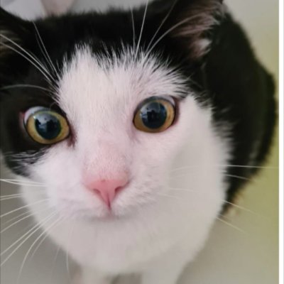 BibiBrencher's profile picture. Arbeiter aus Stuttgart der seine Heimat liebt, und die Demokratie der 50-80 Jahre, ungeimpft.