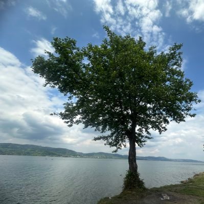 kriptoiscisi's profile picture. 