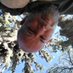 PabloEnrique Cuello (@pabloec1979) Twitter profile photo PabloEnrique Cuello (@pabloec1979) Twitter profile photo