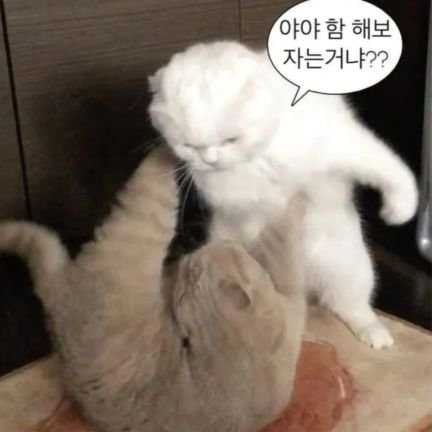 jeongseol4365's profile picture. 