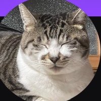 ぬまゆう (@numayu_0731) 's Twitter Profile