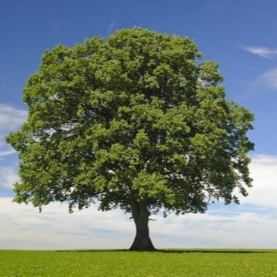 Kemptric's profile picture. Communications, Media & PR professional. Love mountains, big skies, trees, and taking the road less traveled