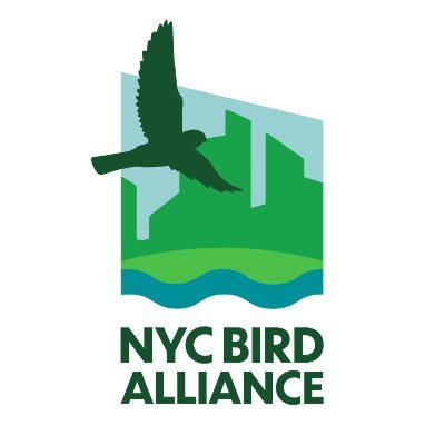 NYC Bird Alliance (formerly NYC Audubon) champions nature and wild birds throughout the City’s five boroughs. Email media@nycbirdalliance.org