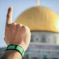 أبوهاشمAlsharief Abo Hashimالشريف (@alshariefhashim) 's Twitter Profile