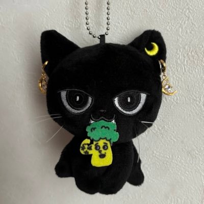 Misa_neko_kuwee's profile picture. 