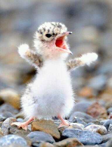 7kok's profile picture. 힐링하고 싶으신가요?