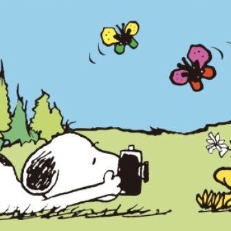 tragalibros2000's profile picture. ~ in my 🪩 & 🍋 era ~