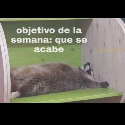 azrael_cabrera's profile picture. 