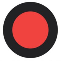 TrimarchiDG (@trimarchidg) 's Twitter Profile