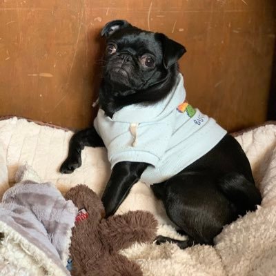 adolpfff's profile picture. IG:@mr_adolpf