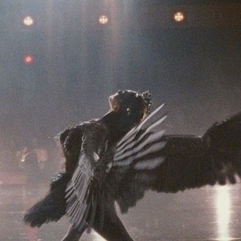 chaatpapri's profile picture. mathmaxxing