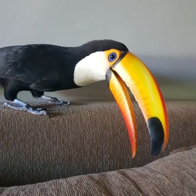 IlIllIllIllIIlI🇵🇾