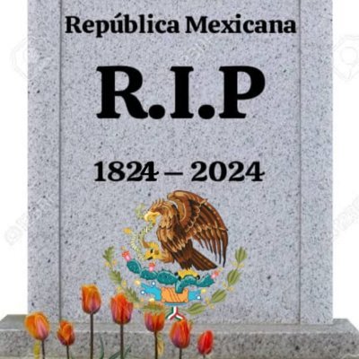 Abogada, madre, esposa, ciudadana, garante de la legalidad y la justicia, amante de México, residente en Quintana Roo... ¡Bloqueo chairos 🚫!