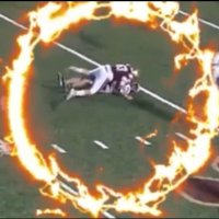 Jayson Roney (@rone19280) 's Twitter Profile